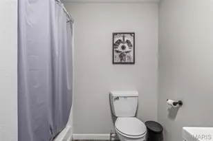 416 Trevor Ct, Bonne Terre, MO 63628 - Photo 73