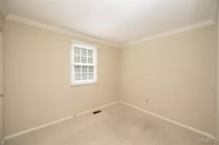 816 Twin Pine Dr, Kirkwood, MO 63122 - Photo 45