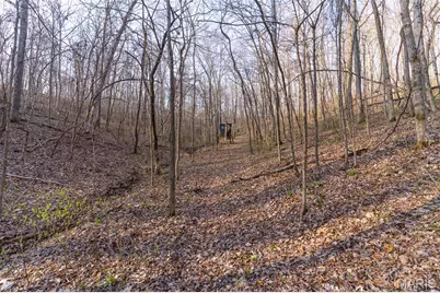 4376 Highway Bb, Annapolis, MO 63620 - Photo 29