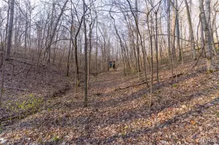 4376 Hwy Bb, Annapolis, MO 63620 - Photo 29