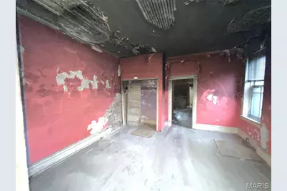 2205 Osage Street, Saint Louis, MO 63118 - Photo 7