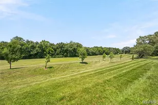 3105 Bear View Ct, Wentzville, MO 63385 - Photo 43