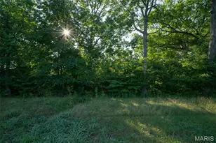 24 Tbb Grand Meridien Forest, Wildwood, MO 63005 - Photo 27