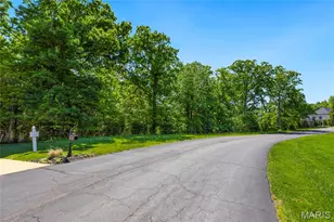 24 Tbb Grand Meridien Forest, Wildwood, MO 63005 - Photo 21