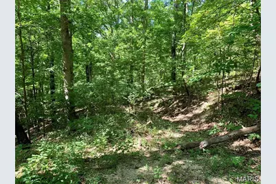 Lots 5-11 Dogwood Lane, Imperial, MO 63052 - Photo 3