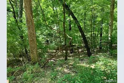 Lots 5-11 Dogwood Lane, Imperial, MO 63052 - Photo 9