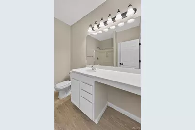 141 Amiot Court, Chesterfield, MO 63146 - Photo 21