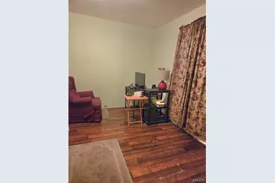 1001 East Street, Leadwood, MO 63653 - Photo 9