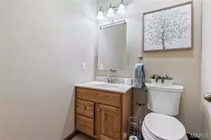 414 Silver Creek Rd, Farmington, MO 63640 - Photo 65