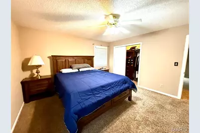 117 Sharon Drive, Montgomery City, MO 63361 - Photo 37