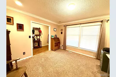 117 Sharon Drive, Montgomery City, MO 63361 - Photo 29