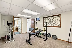 5426 Mardel Ave, Saint Louis, MO 63109 - Photo 47