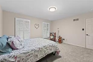133 Blue Ridge Trce, Festus, MO 63028 - Photo 19
