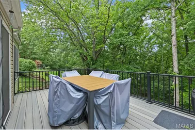 133 Blue Ridge Trace, Festus, MO 63028 - Photo 51