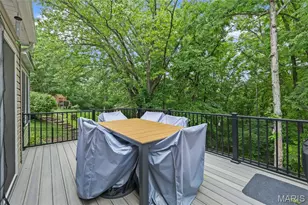 133 Blue Ridge Trce, Festus, MO 63028 - Photo 51