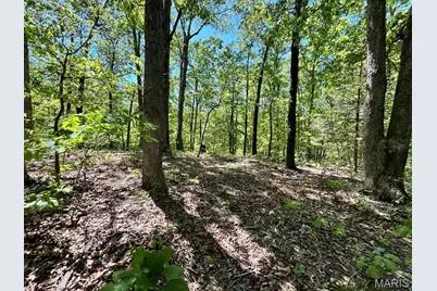 0 Turkey Foot Road, Bourbon, MO 65441 - Photo 23