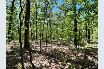 0 Turkey Foot Road, Bourbon, MO 65441 - Photo 21