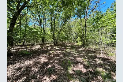 0 Turkey Foot Road, Bourbon, MO 65441 - Photo 19