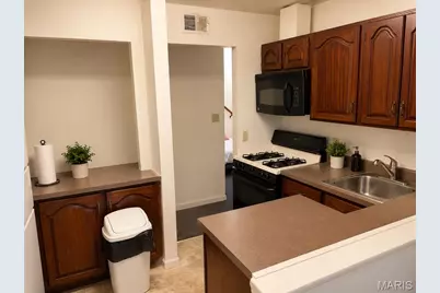 3401 Chippewa Street, Saint Louis, MO 63118 - Photo 7