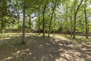 1514 E Mont Carmel St, Bonne Terre, MO 63628 - Photo 9