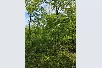 Tbd Broken Circle Road, Grover, MO 65078 - Photo 1