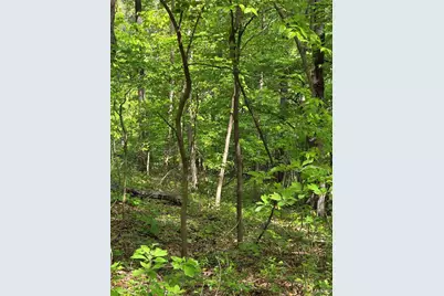 Tbd Broken Circle Road, Grover, MO 65078 - Photo 5