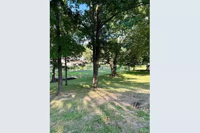 N 7th and Battles Ln, De Soto, MO 63020 - Photo 5