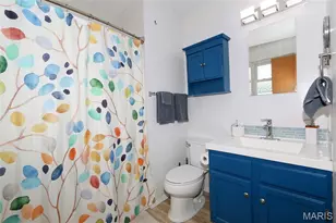 332 Oak Tree Dr, Saint Louis, MO 63119 - Photo 15