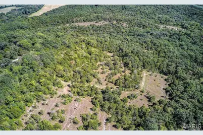 43 Acres +/- Recreational/ Hunting Ground, Dittmer, MO 63023 - Photo 13