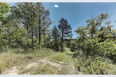 43 Acres +/- Recreational/ Hunting Ground, Dittmer, MO 63023 - Photo 3