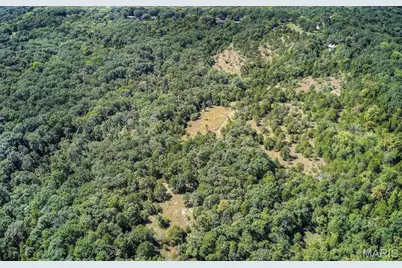 43 Acres +/- Recreational/ Hunting Ground, Dittmer, MO 63023 - Photo 5