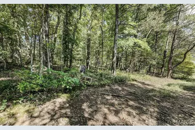 43 Acres +/- Recreational/ Hunting Ground, Dittmer, MO 63023 - Photo 7