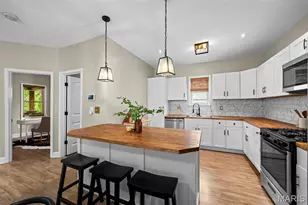 4724 Hummel Ave, Saint Louis, MO 63116 - Photo 7