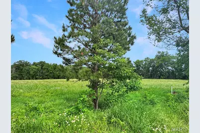 29 Acres Ml Highway C, New Haven, MO 63068 - Photo 7