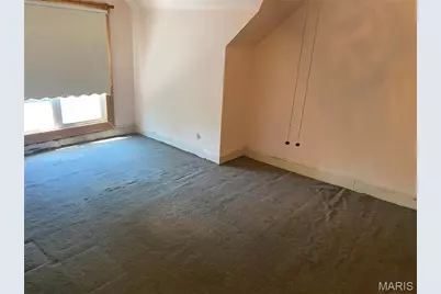 310 Olive Street, Hannibal, MO 63401 - Photo 13