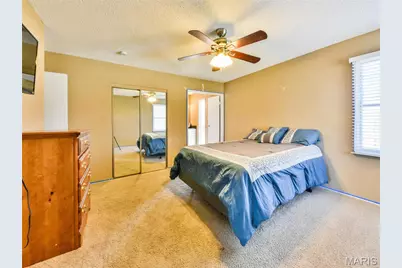 2 Sunny Forest Court, Ellisville, MO 63011 - Photo 17