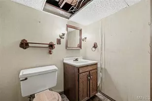 6993 Hillsland Ave, Saint Louis, MO 63109 - Photo 35