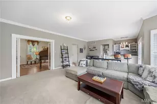 249 Woodcliffe Pl Dr, Chesterfield, MO 63005 - Photo 13