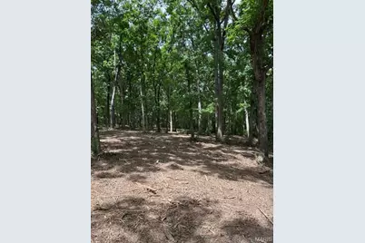 17 Hardwood Dr, Winfield, MO 63389 - Photo 1