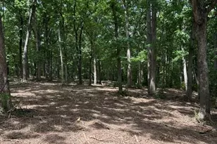 17 Hardwood Dr, Winfield, MO 63389 - Photo 1
