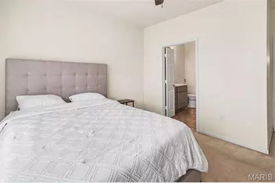 29 Kassebaum Lane #106, Saint Louis, MO 63129 - Photo 9