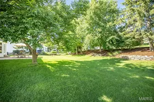 16311 Black Cherry Dr, Wildwood, MO 63040 - Photo 47