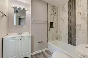 2207 Alameda Ave, Saint Louis, MO 63143 - Photo 41