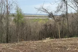 11365 River Hills Rd, Festus, MO 63028 - Photo 1