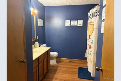 810 Houston Drive, Palmyra, MO 63461 - Photo 17