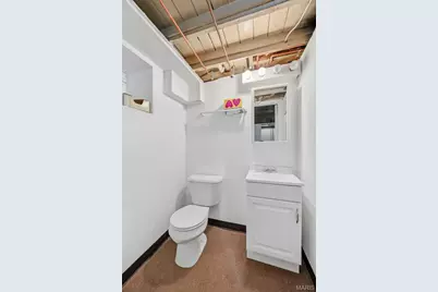 4925 Delor Street, Saint Louis, MO 63109 - Photo 29
