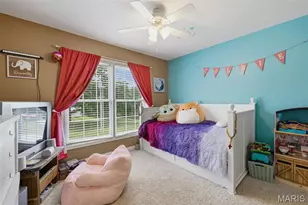 310 Virginia St, Saint Genevieve, MO 63670 - Photo 19