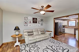 22 Wagon Wheel, Troy, MO 63379 - Photo 9