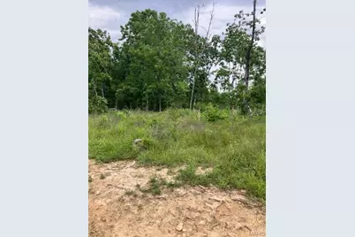 231 Madison Cr 410, Fredericktown, MO 63645 - Photo 1
