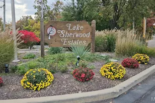 1338 Gainsborough Ct, Lake Sherwood, MO 63357 - Photo 45